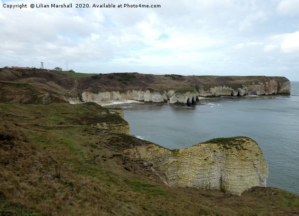 Flamborough Cliffs, Picture Board by Lilian Marshall