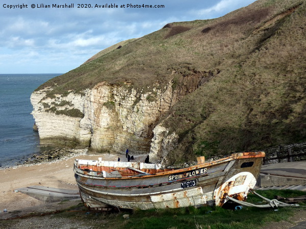 Flamborough Head Yorkshire.  Picture Board by Lilian Marshall