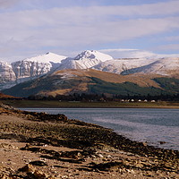 Buy canvas prints of Looking over to Ben Nevis.  by Lilian Marshall