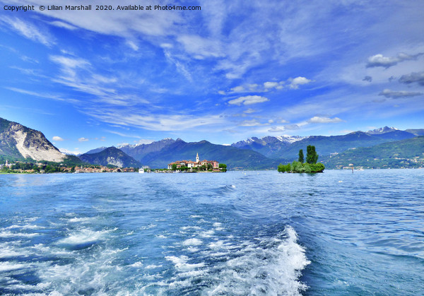 Lake Maggiori. Italy   Picture Board by Lilian Marshall