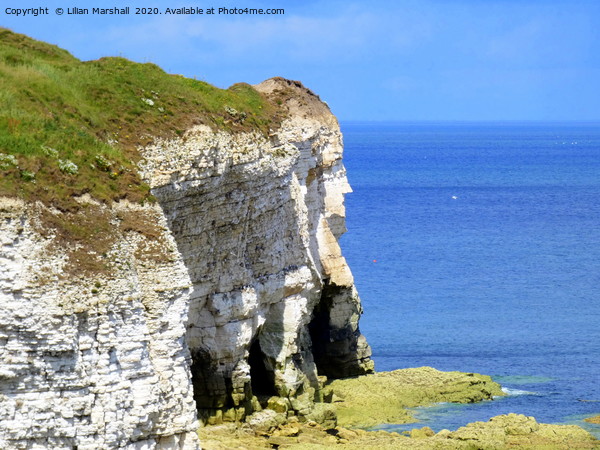 Flamborough Cliff Face. Picture Board by Lilian Marshall