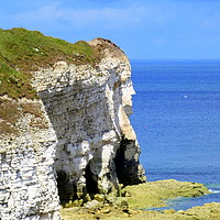 Buy canvas prints of Flamborough Cliff Face. by Lilian Marshall