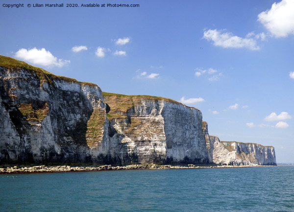 Bempton Cliffs from the sea.  Picture Board by Lilian Marshall