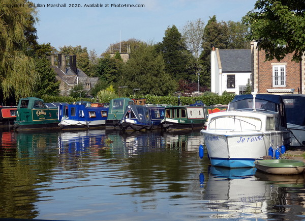 Lancaster Canal at Garstang Picture Board by Lilian Marshall