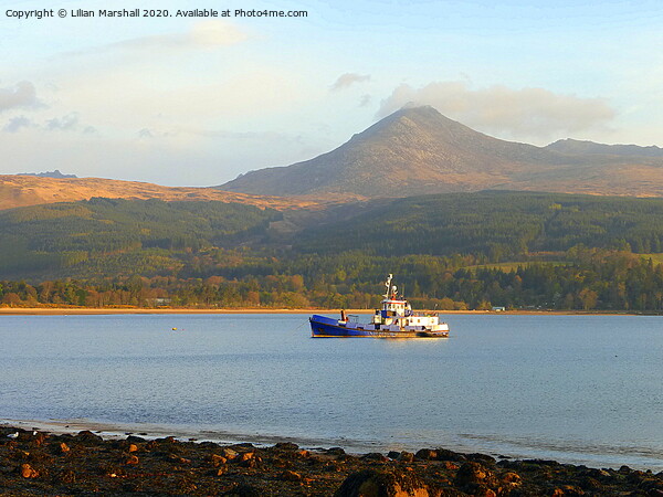 Goatfell at Brodick Bay, Picture Board by Lilian Marshall
