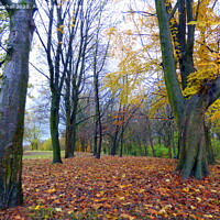 Buy canvas prints of Autumn in Heaton Park. by Lilian Marshall