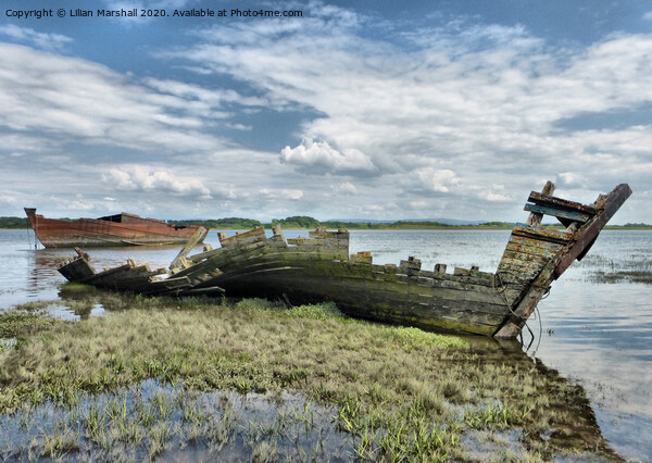 Trawler Wrecks at Fleetwood Marsh. Picture Board by Lilian Marshall