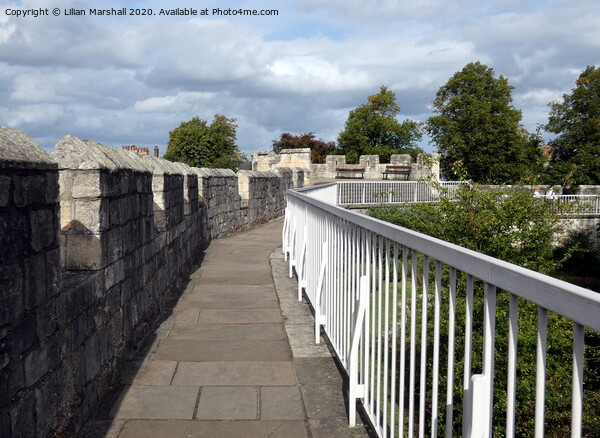 Medieval walls of York.  Picture Board by Lilian Marshall