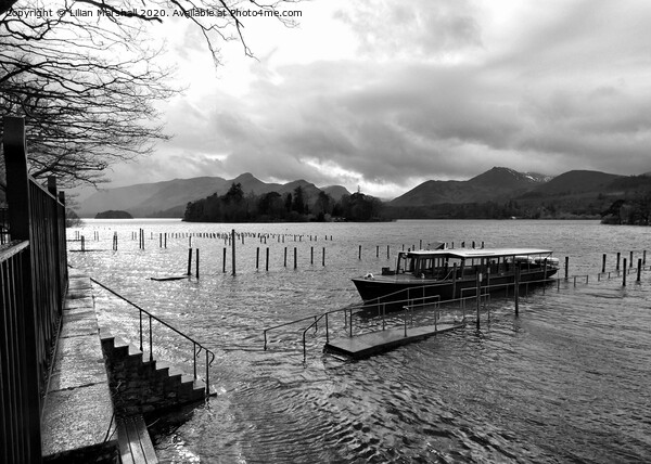 A grey day at Derwentwater. Cumbria. Picture Board by Lilian Marshall