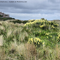Buy canvas prints of Bamburgh Castle. Northumberland.  by Lilian Marshall