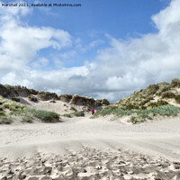 Buy canvas prints of The sand dunes at Bamburgh Beach.  by Lilian Marshall