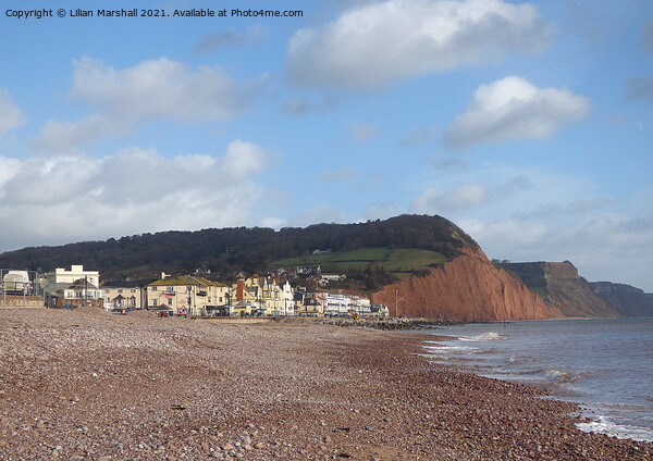 Salcombe Hill Sidmouth.  Picture Board by Lilian Marshall