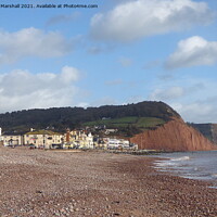 Buy canvas prints of Salcombe Hill Sidmouth.  by Lilian Marshall