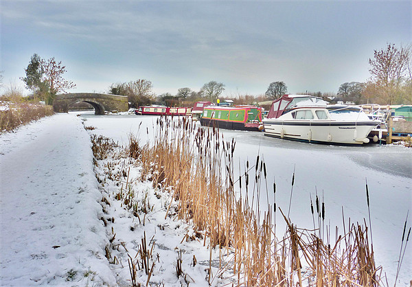 Frozen Lancaster Canal Picture Board by Lilian Marshall