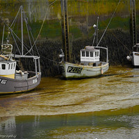 Buy canvas prints of padstow trio green by paul forgette