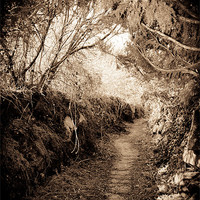 Buy canvas prints of path through time by paul forgette