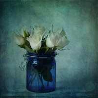 Buy canvas prints of Roses in a blue jar by Sandra Pledger
