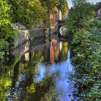 Buy canvas prints of Springs branch Canal Skipton by Sandra Pledger