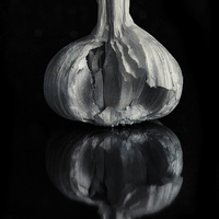 Buy canvas prints of Garlic by Sandra Pledger