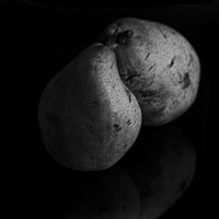 Buy canvas prints of  Pears by Sandra Pledger