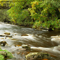 Buy canvas prints of Little rapid by andrew saxton