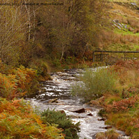 Buy canvas prints of AUTUMN MOORS by andrew saxton
