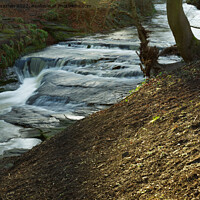 Buy canvas prints of A SEATON FALL by andrew saxton