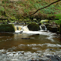 Buy canvas prints of Goathland waters  by andrew saxton