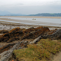 Buy canvas prints of  LOW TIDE by andrew saxton