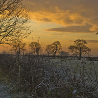 Buy canvas prints of  COUNTRYSIDE SUNSET by andrew saxton