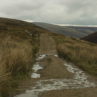 Buy canvas prints of  FOLLOW THE PATH by andrew saxton