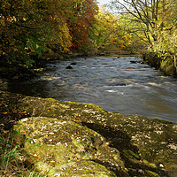 Buy canvas prints of RIVER RIBBLE by andrew saxton