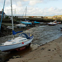 Buy canvas prints of CEMAES HARBOUR by andrew saxton