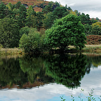 Buy canvas prints of TREE LINED by andrew saxton