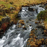 Buy canvas prints of RUSHING OUT by andrew saxton