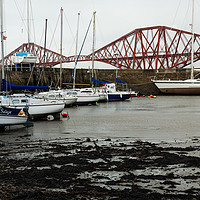 Buy canvas prints of QUEENSFERRY HARBOUR by andrew saxton