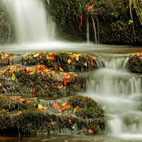 Buy canvas prints of WASHING AUTUMN by andrew saxton