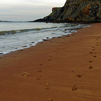 Buy canvas prints of FOOTSTEPS by andrew saxton
