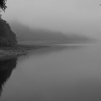 Buy canvas prints of FOGS HERE by andrew saxton