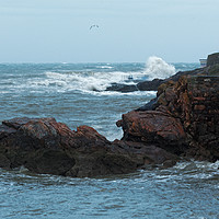 Buy canvas prints of ROUGH COAST by andrew saxton