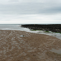 Buy canvas prints of SAND SEA AND SEAWEED by andrew saxton