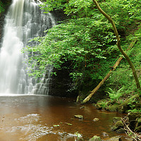 Buy canvas prints of FALLING FOSS by andrew saxton