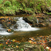 Buy canvas prints of AUTUMN WATERFALL by andrew saxton