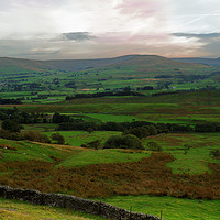 Buy canvas prints of IT'S WENSLEYDALE by andrew saxton