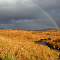 Buy canvas prints of I CAN SEE A RAINBOW by andrew saxton