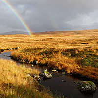 Buy canvas prints of STREAM AND RAINBOW by andrew saxton