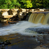 Buy canvas prints of SWALES WATERFALLS by andrew saxton