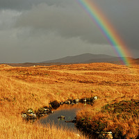 Buy canvas prints of RAINBOW IN SCOTLAND by andrew saxton