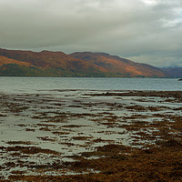 Buy canvas prints of UP A LOCH by andrew saxton