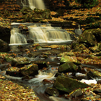 Buy canvas prints of AUTUMN LEAVES WATERFALL by andrew saxton